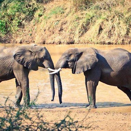 Mtomeni Safari Camp Hotel Phalaborwa Kültér fotó