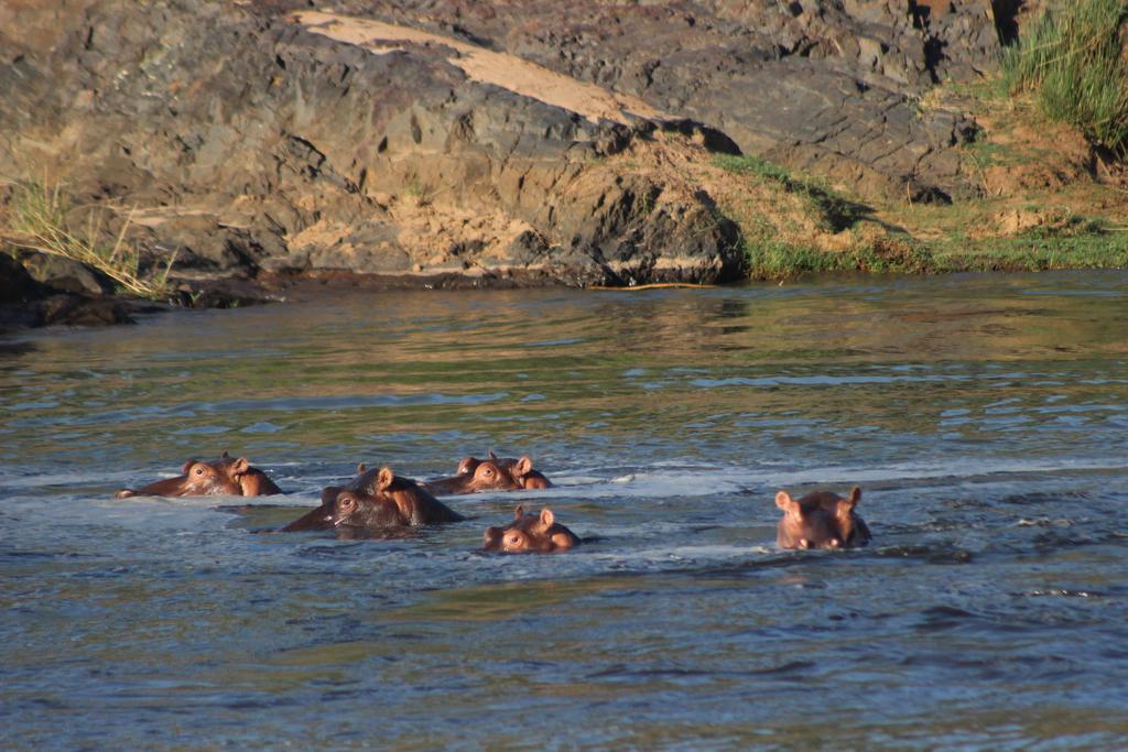 Mtomeni Safari Camp Hotel Phalaborwa Kültér fotó
